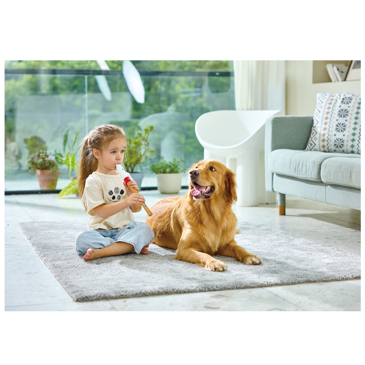 hape-musiclearning-fleita-photo-2