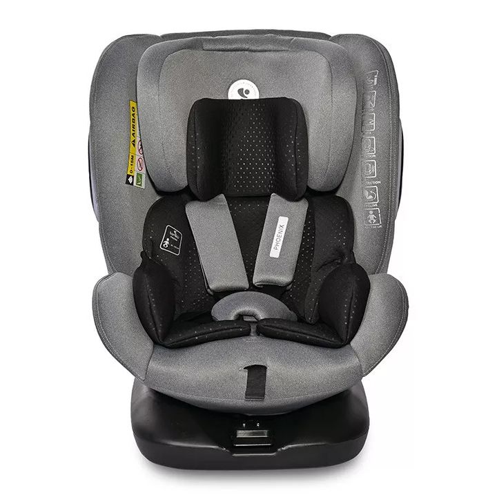 lorelli-phoenix-manqanis-savardzeli-photo-2