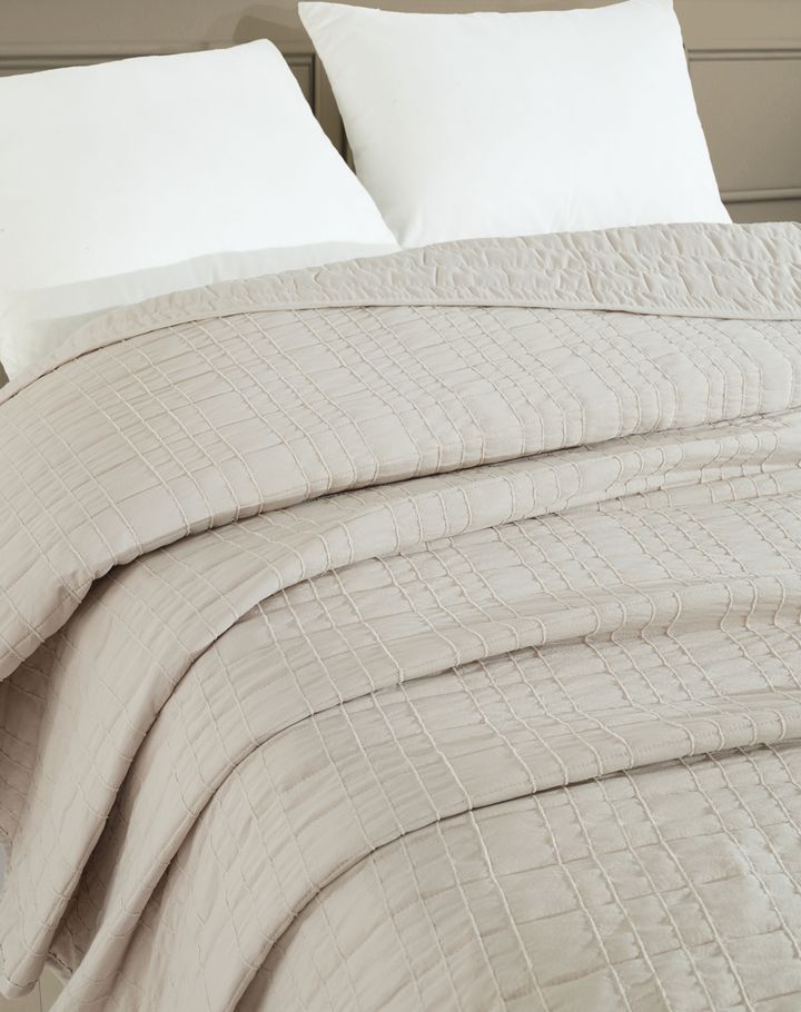 manamo-satsolis-gadasafarebeli