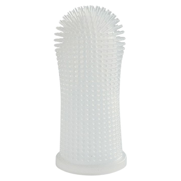 m-pets-titze-tsamosatsmeli-kbilis-jagrisi-photo-2