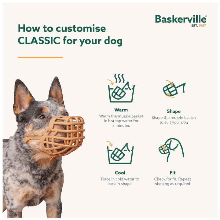 baskerville-classic-alikapi-dzaghlebistvis-photo-3