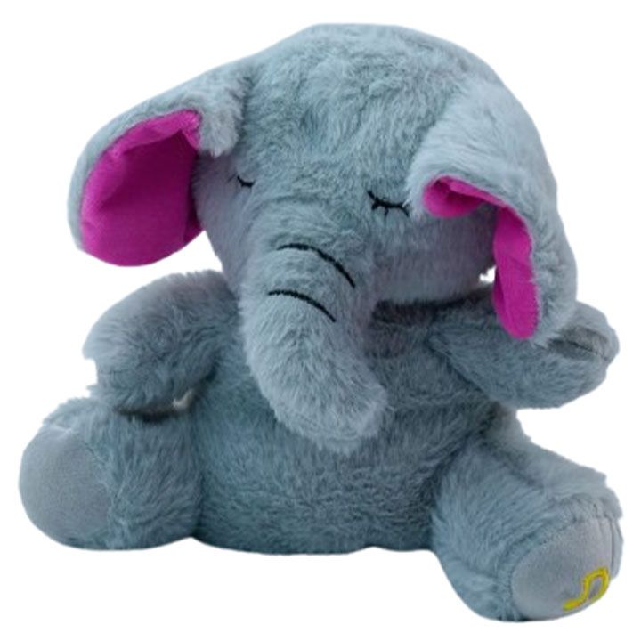 musikaluri-rbili-satamasho-spilo