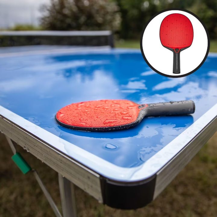 pongori-tenisis-choganimagidis-tenisis-chogani-ping-pongis-chogani-pingpongi-photo-3