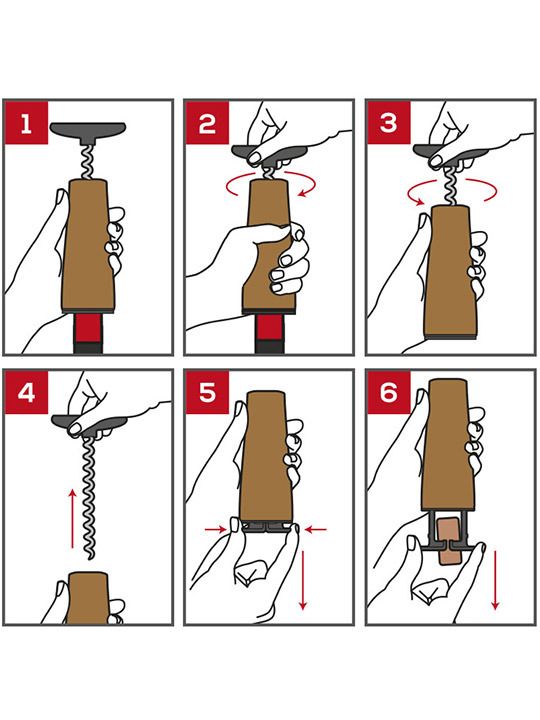 peugeot-tahiti-ghvinis-sakhsneli-photo-2