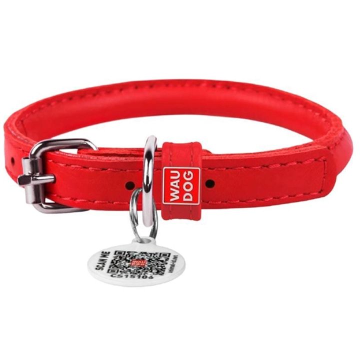 collar-dzaghlis-saqelo-photo-2