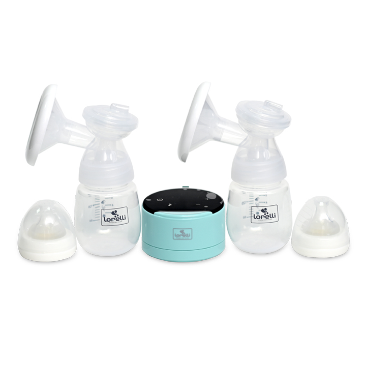 lorelli-ormagi-eleqtro-satsveli