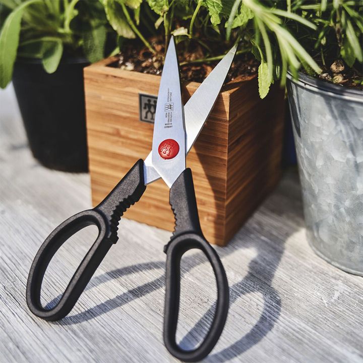 zwilling-twin-makrateli-photo-2