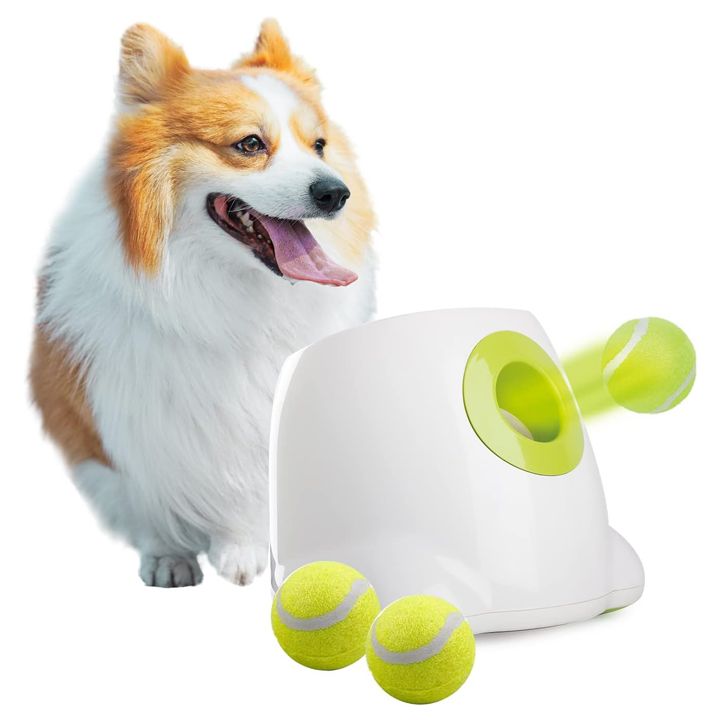 all-for-paws-avtomaturi-burtis-sasroli