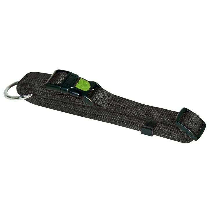 kerbl-dzaghlis-saqelo