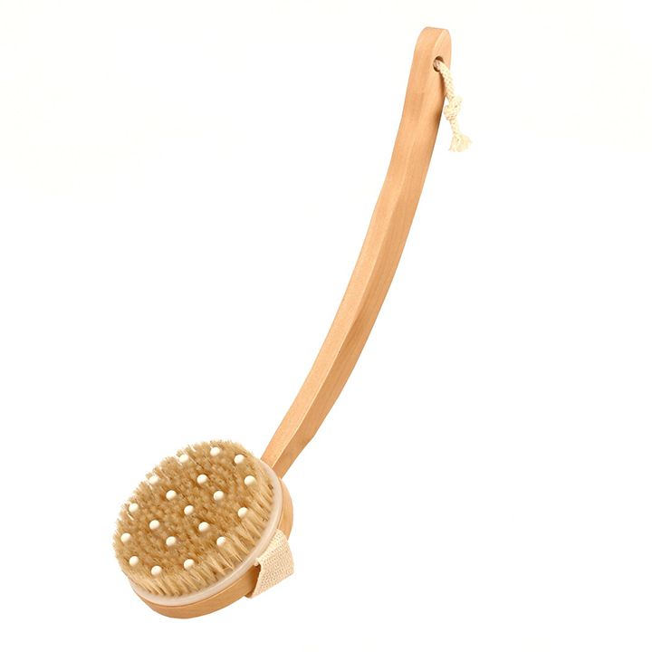 paradise-abazanis-jagrisi