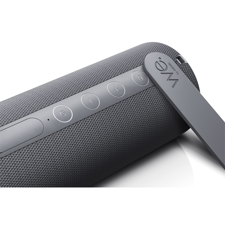 Loewe hear 2. Loewe колонки. Loewe we hear 1. Loewe we. Акустика loewe.