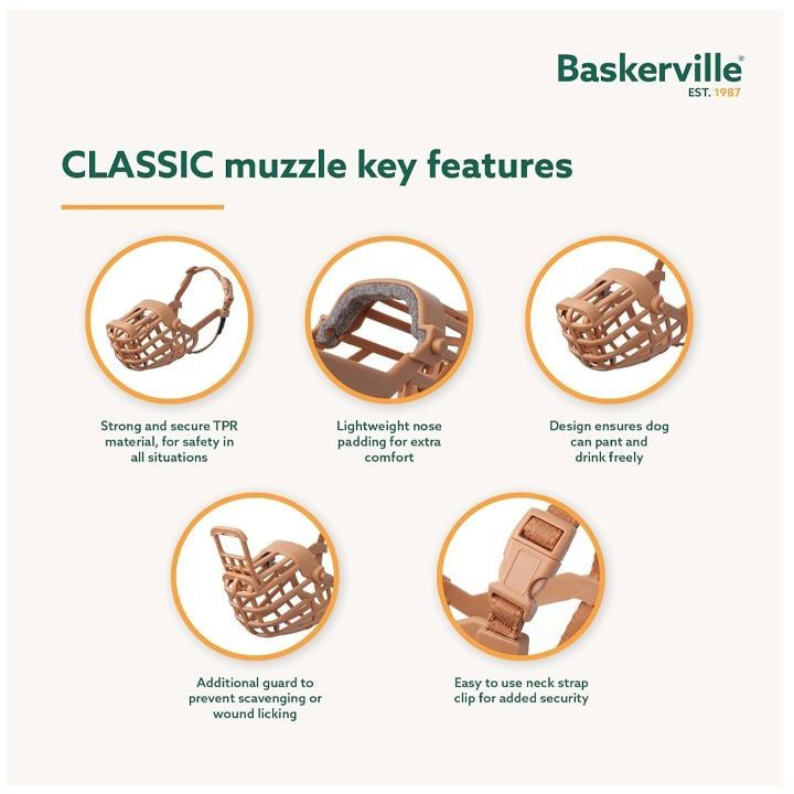 baskerville-classic-alikapi-dzaghlebistvis-photo-4