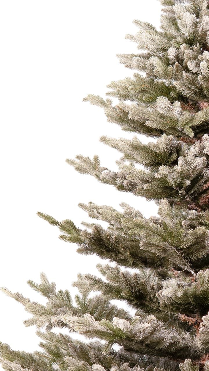 malali-220sm-kristali---dizaineruli-nadzvis-khe-shako-da-ninosgan-photo-3