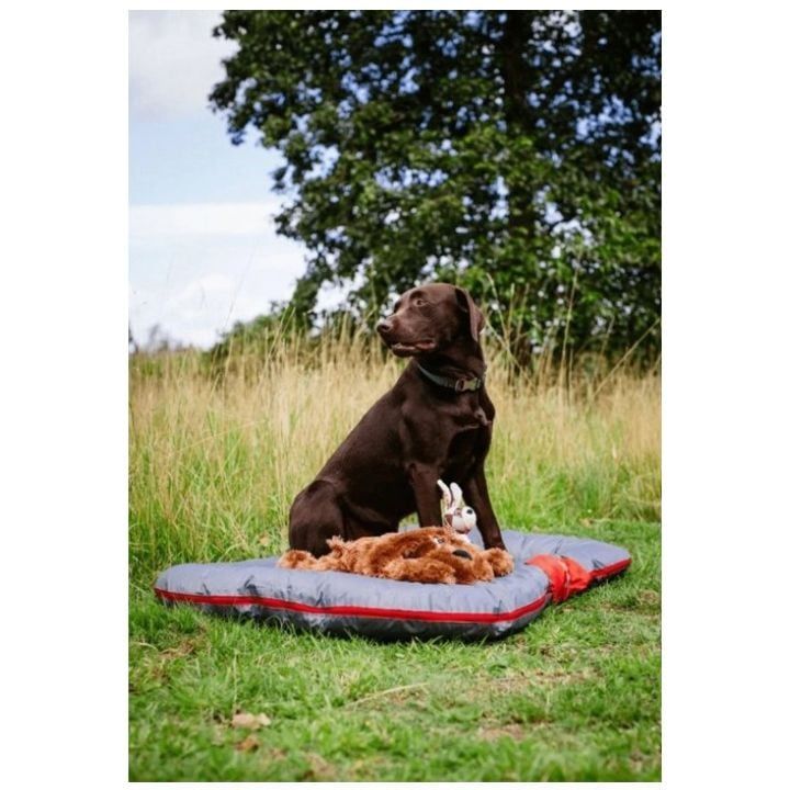 nobby-dzaghlis-balishi-photo-2