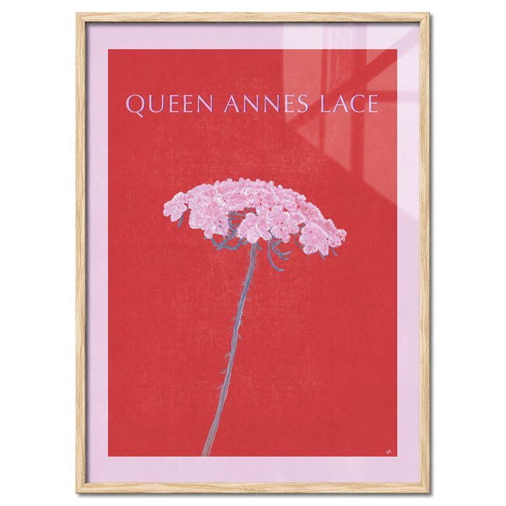 posteri-charchoti-queen-annes-lace-a3
