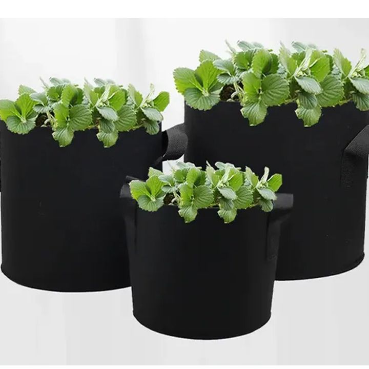 nachris-qotani-100l-photo-3