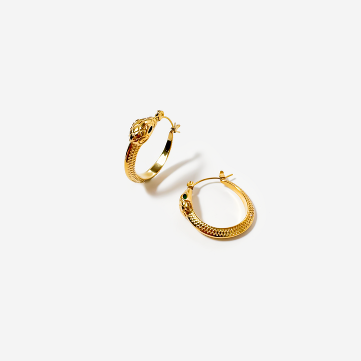 titanis-mooqrovili-saqure-gvelis-fomit