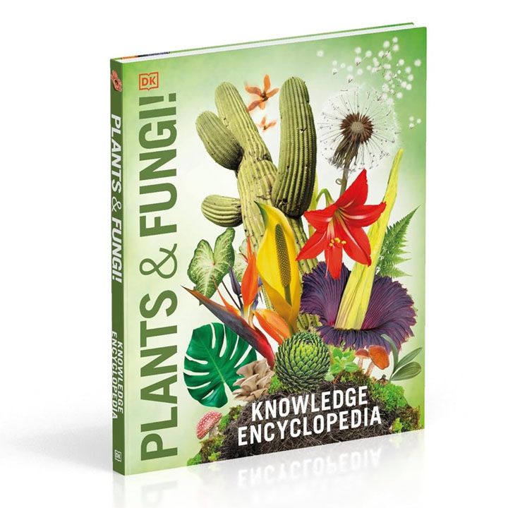 mtsenareebi-da-sokoebi---tsodnis-entsiklopedia-photo-3