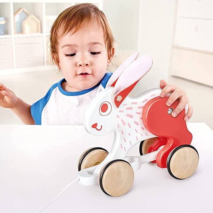hape-bunny-pull-along-khis-satamasho-photo-4