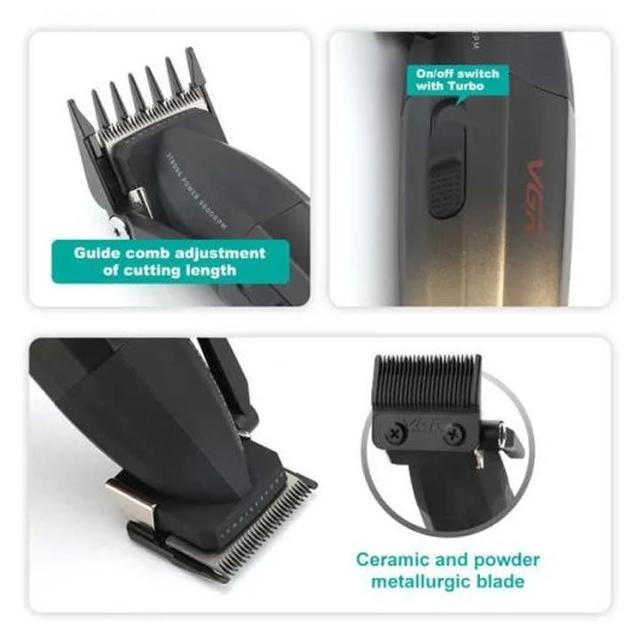 vgr-v-003-tmis-usadeno-sakrechi-photo-3