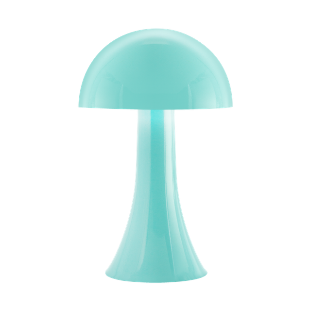 remember-mini-sanati-filou-blue