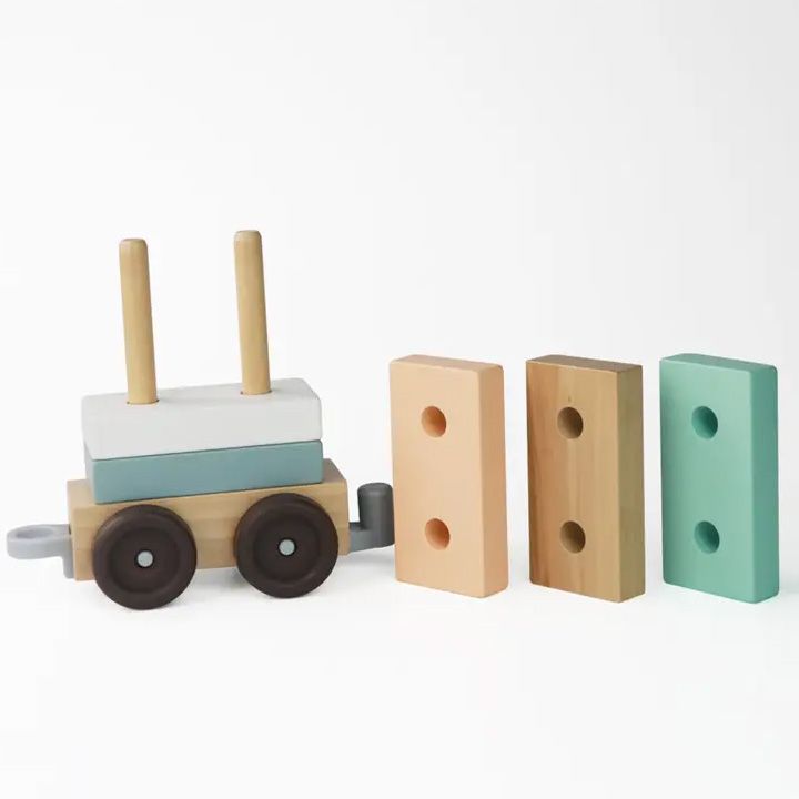 montessori-train-gansavitarebeli-satamasho-matarebeli-photo-4
