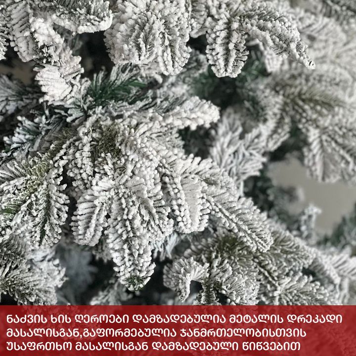 nadzvis-khe-stokholmi-180-sm-photo-2