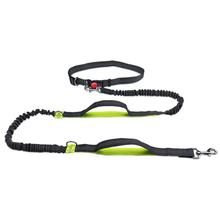 professional-reflective-bungee-hands-free-dog-leash-dzaghlis-sabeli