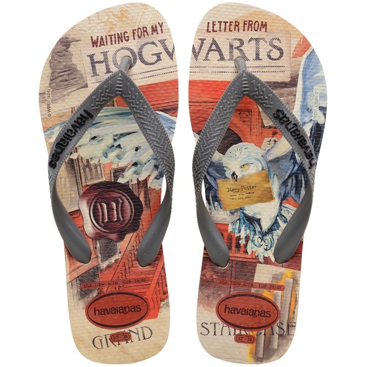 havaianas-top-warner-classics-unisex-shlapunebi-photo-4