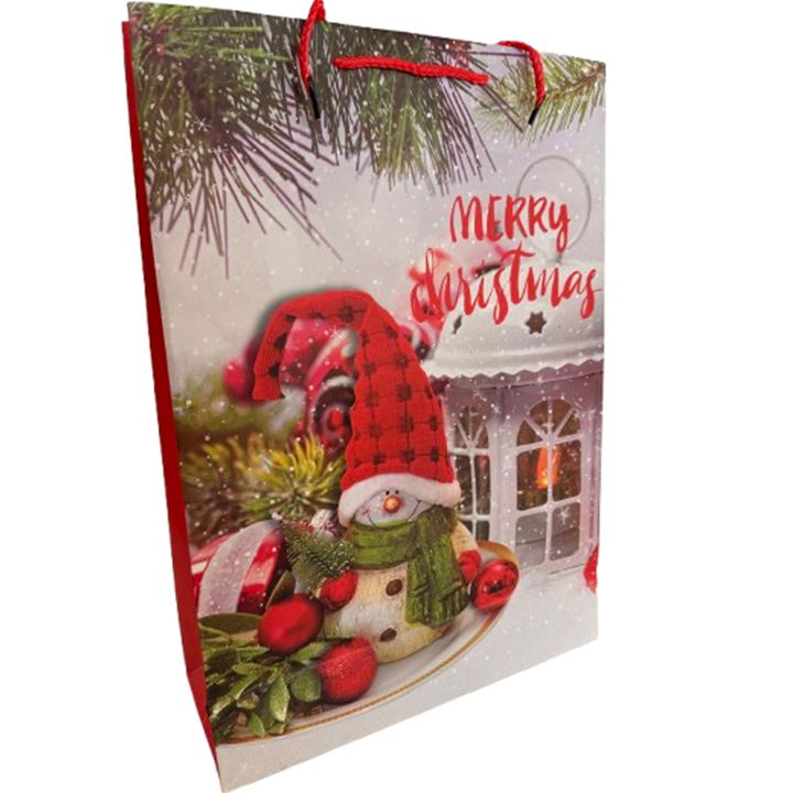 saakhaltslo-sasachuqre-chanta-merry-christmas-photo-2