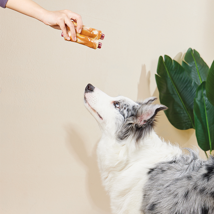 m-pets-carnivore-dzaghlis-satamasho-neknebi-photo-2