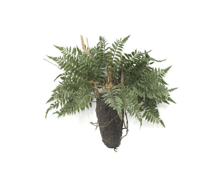 laboratory-my-home-khelovnuri-mtsenare