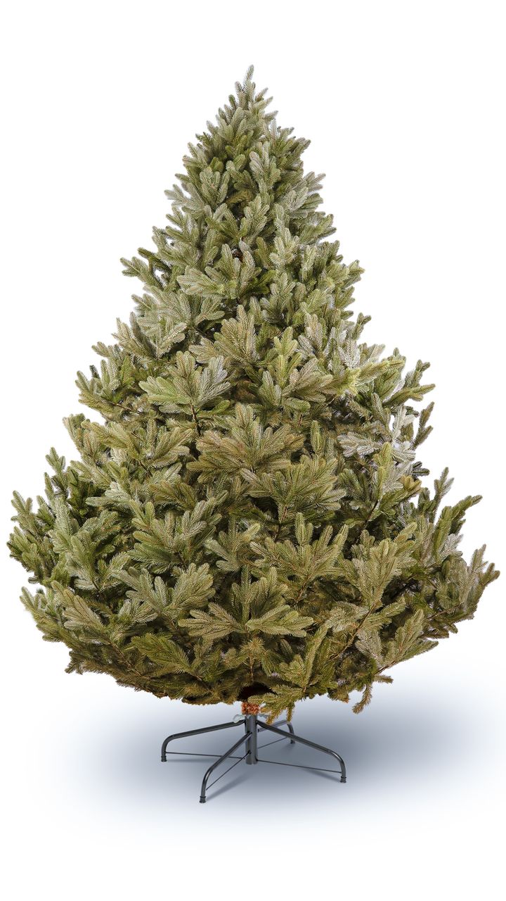 pungia-280sm---dizaineruli-nadzvis-khe-shako-da-ninosgan