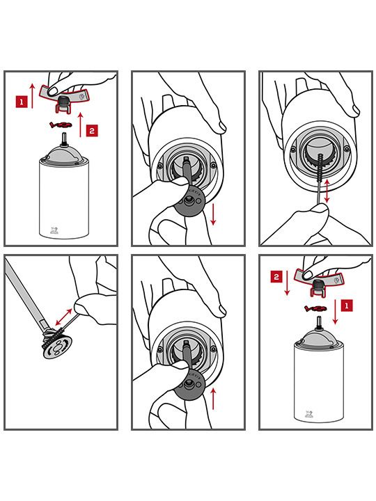 peugeot-safqvavi-pilpilis-martsvlebistvis-photo-4