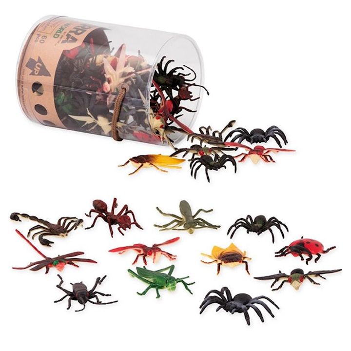 terra-satamasho-nakrebi