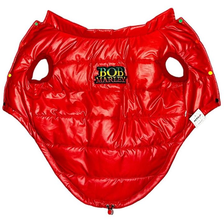 petsup-bob-marley-dzaghlis-tansatsmeli