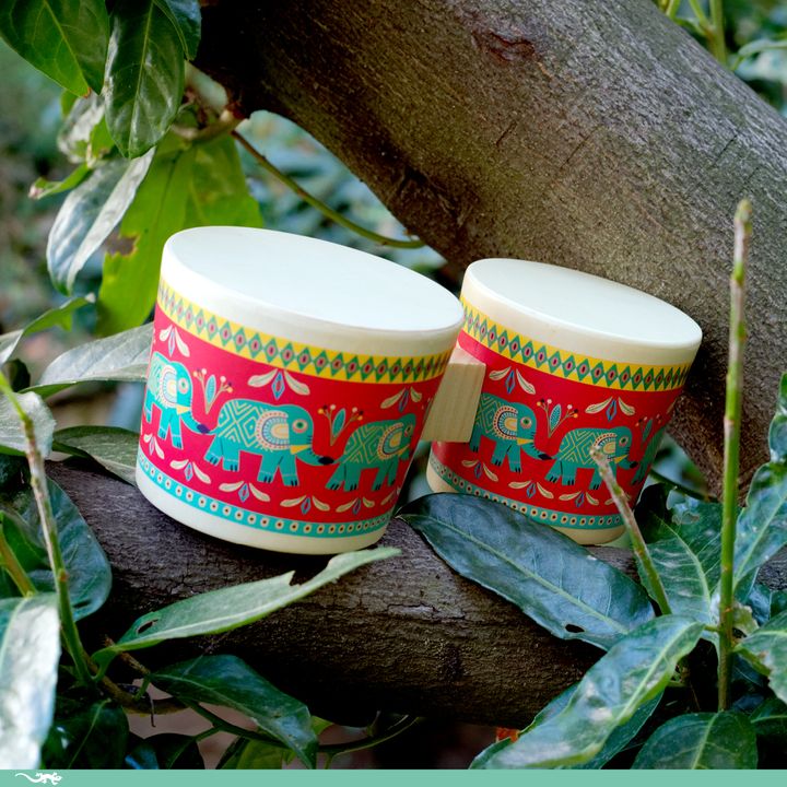 djeco-satamasho-bongo-photo-3