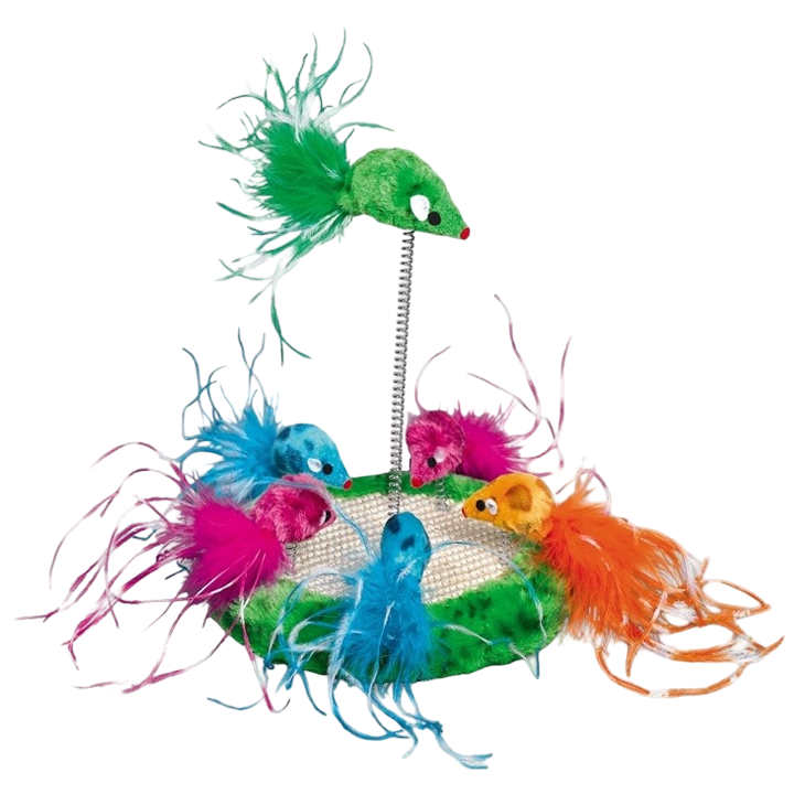 nobby-katis-satamasho