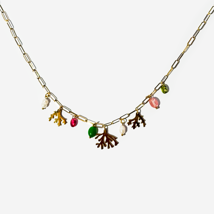 titanis-mooqrovili-qelsabami