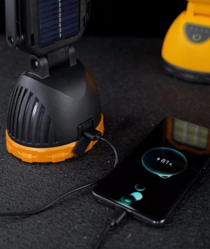 salashqro-farani-mzis-energiaze-photo-2