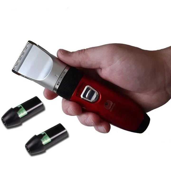 promozer-9930-tmis-usadeno-sakrechi-photo-2