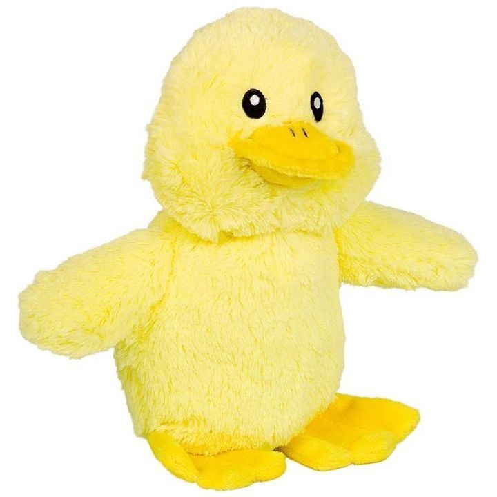 nobby-dzaghlis-satamasho