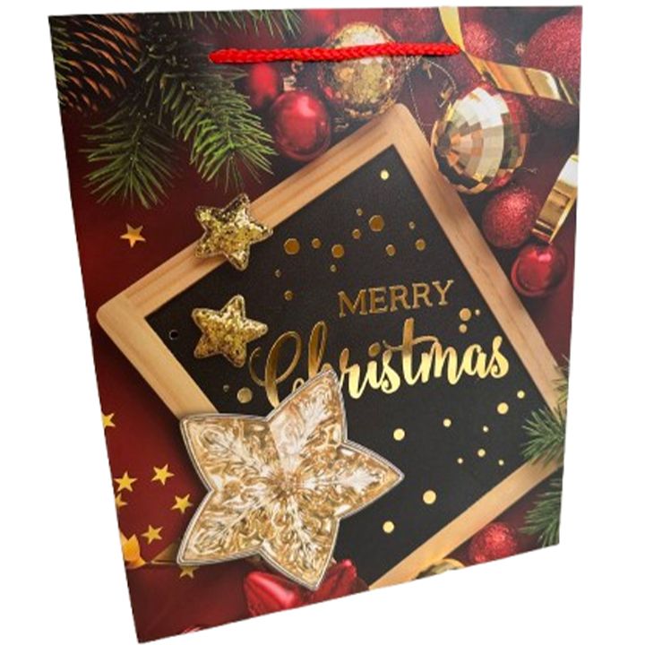 saakhaltslo-sasachuqre-chanta-merry-christmas-photo-2