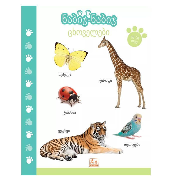 nabij-nabij-l-tskhovelebi