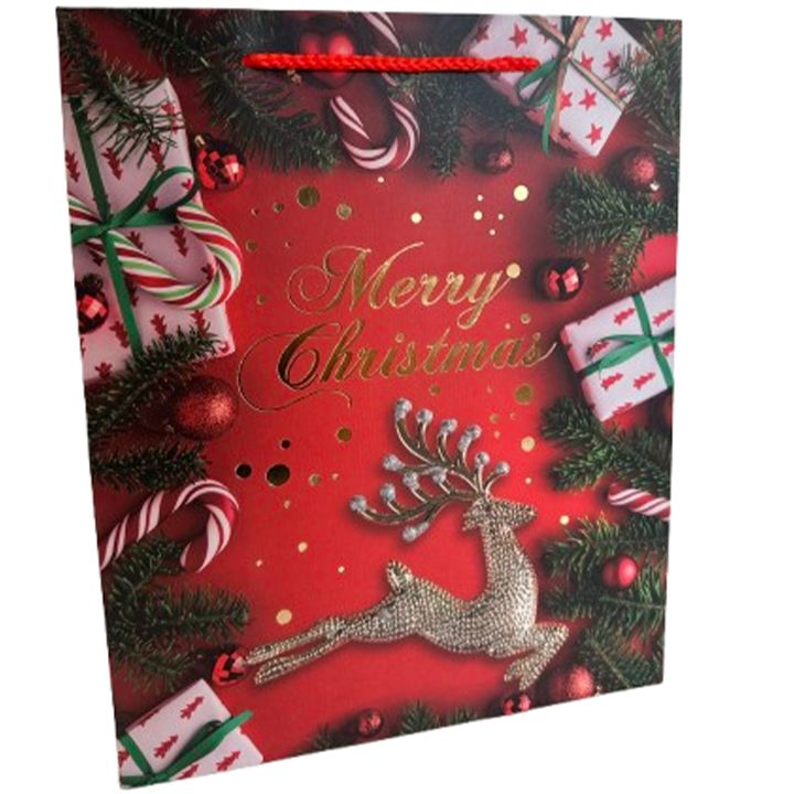 saakhaltslo-sasachuqre-chanta-merry-christmas-photo-2