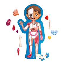 Product image of Hape HUMAN BODY PUZZLE ადამიანის სხეულის თავსატეხი