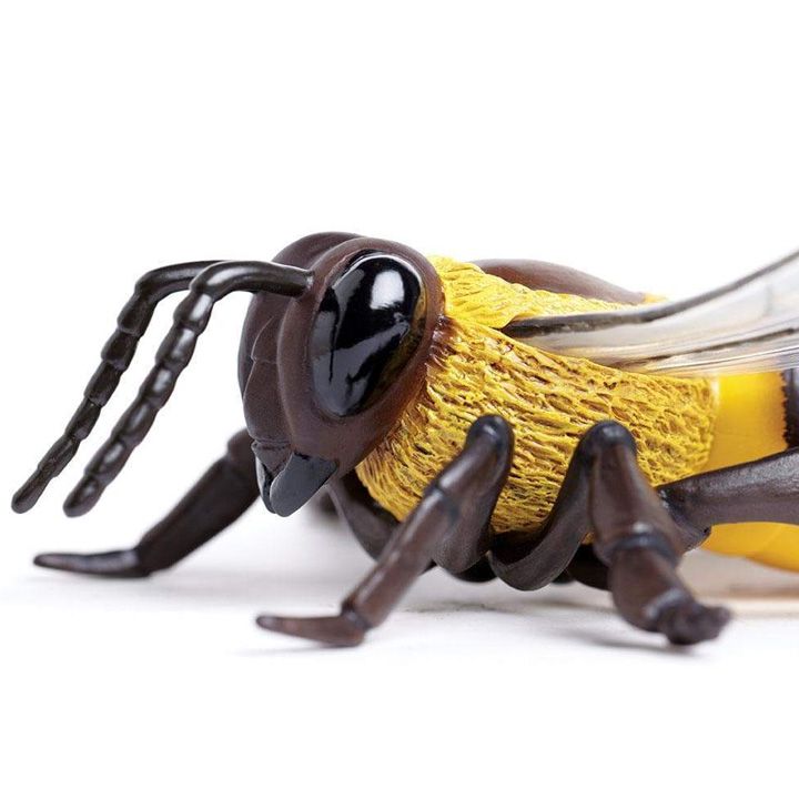 safari-honey-bee-satamasho-figura-photo-4