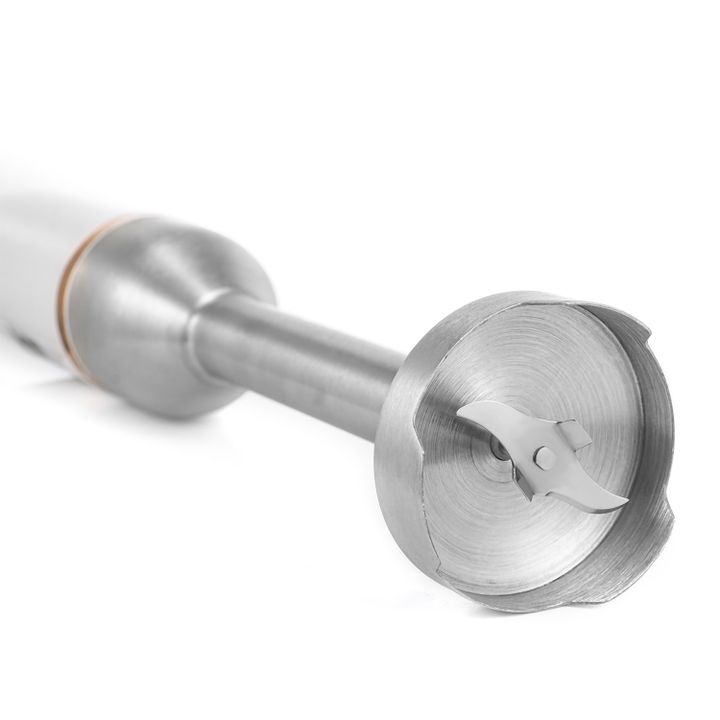 centek-ct-1347-blenderi-photo-2