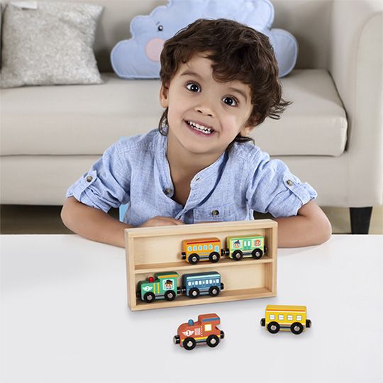 khis-matareblis-nakrebi-saganmanatleblo-satamasho-photo-3