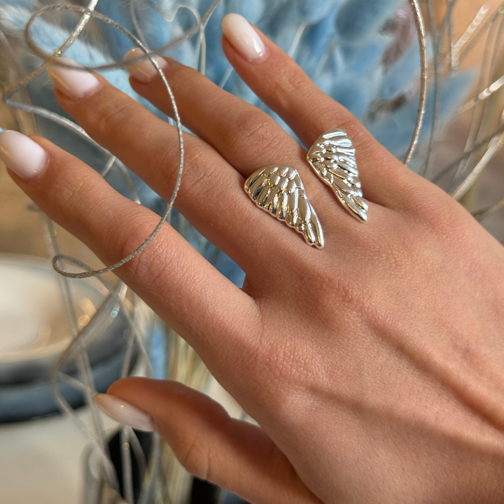 differente-bechedi-angel-wings-photo-2